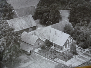 hofboerger